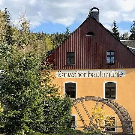 Pfefferminzhuette * Mildenau